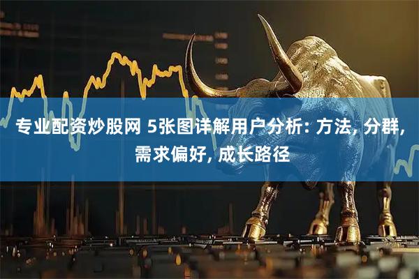 专业配资炒股网 5张图详解用户分析: 方法, 分群, 需求偏好, 成长路径
