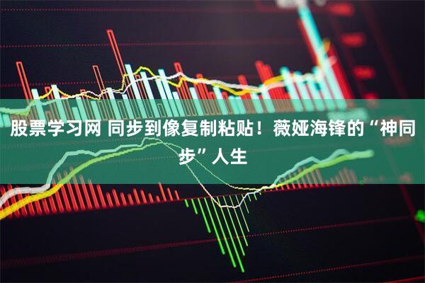 股票学习网 同步到像复制粘贴！薇娅海锋的“神同步”人生
