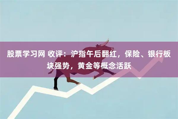 股票学习网 收评：沪指午后翻红，保险、银行板块强势，黄金等概念活跃
