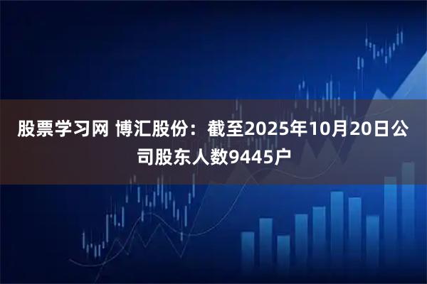 股票学习网 博汇股份：截至2025年10月20日公司股东人数9445户
